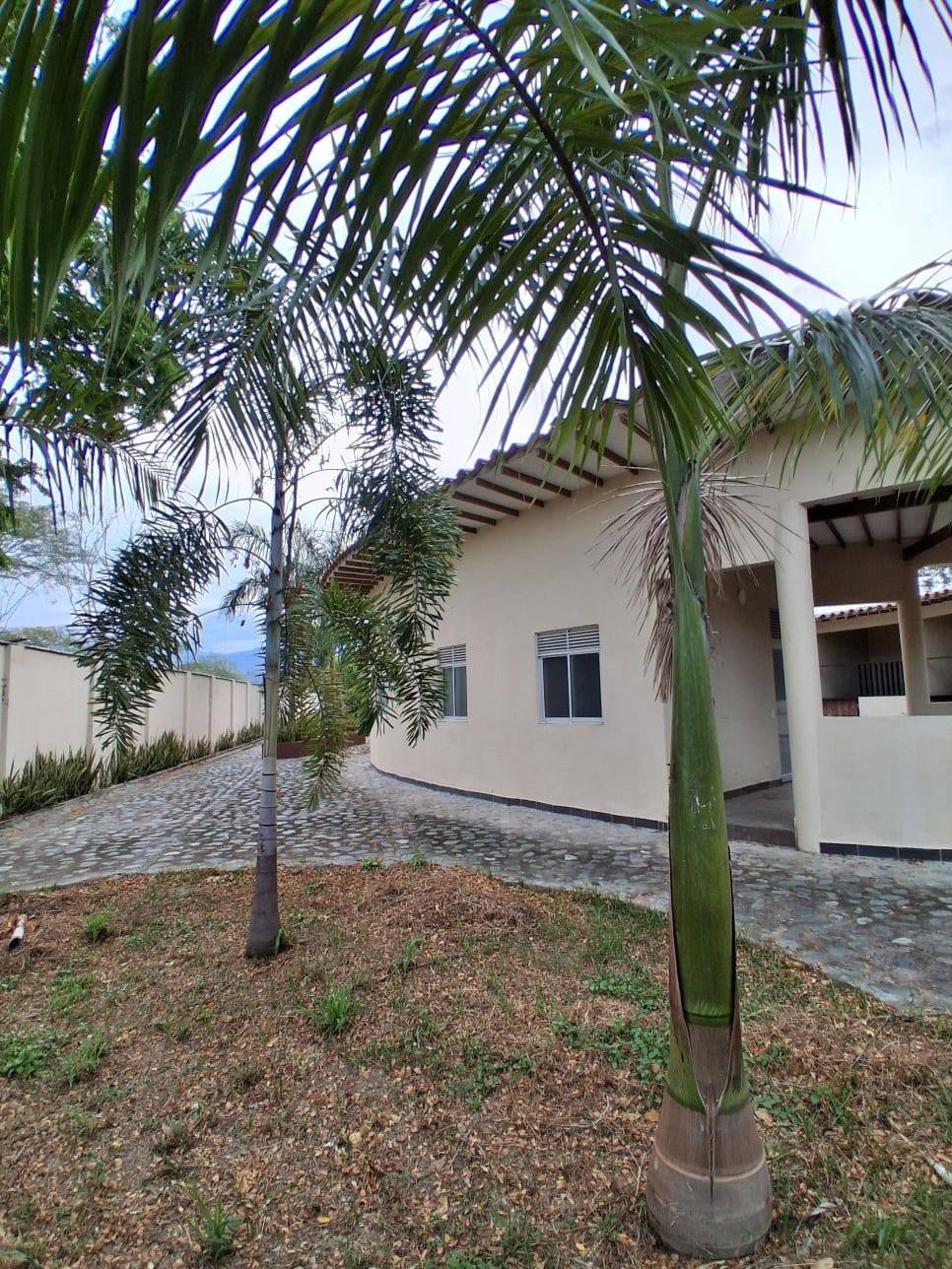 Casa de viviente con palmas sembradas